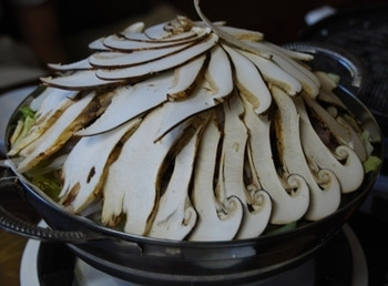 「別所山荘」料理 779649 松茸なべ（松茸の下は、糸こんにゃく、白菜、鶏肉など）