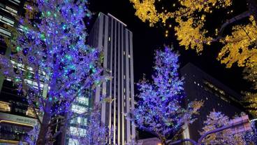 観光スポット / 17