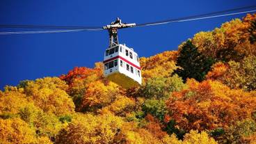 観光スポット / 3