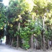 備瀬ハウス（沖縄県 町家） / 3