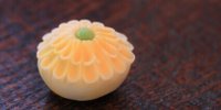 【全国】見てるだけで癒される…♡かわいい和菓子“練り切り”があるお店10選