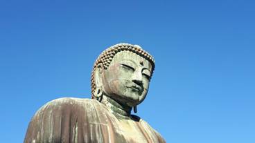 観光スポット / 15