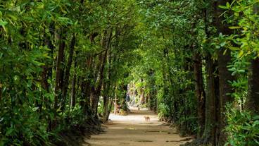 ランド ビュー / 4