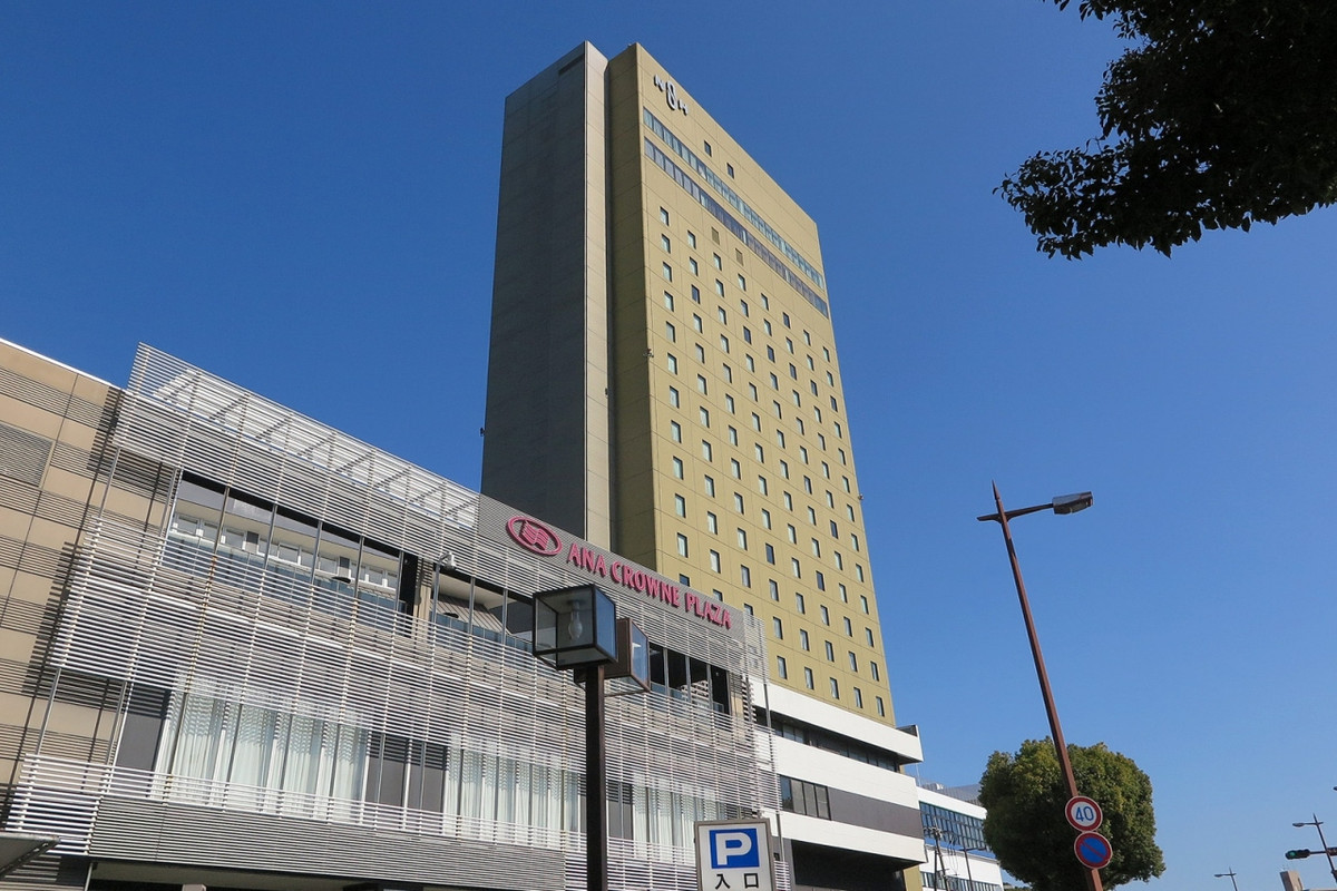 萌黄色の外観が独特です