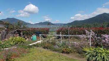 ガーデン ビュー / 40