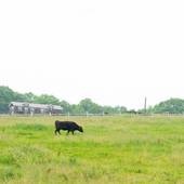 ホテル・フロラシオン那須(栃木県 リゾートホテル) / 4