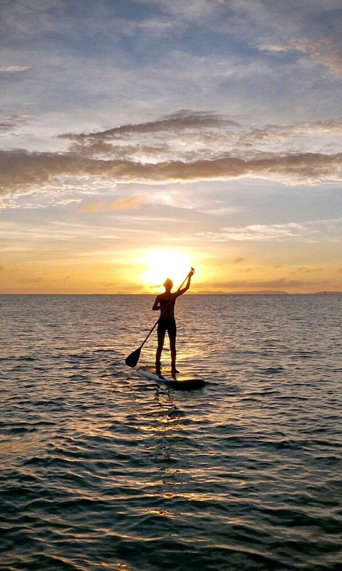 サーフィン / ボディボード