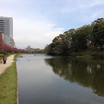 福岡城周辺を散策してみよう。見どころポイント&グルメ案内