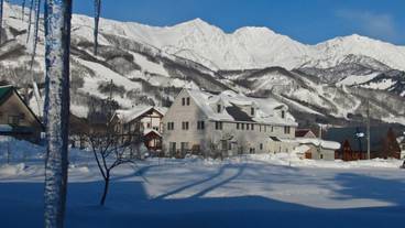 マウンテン ビュー / 7