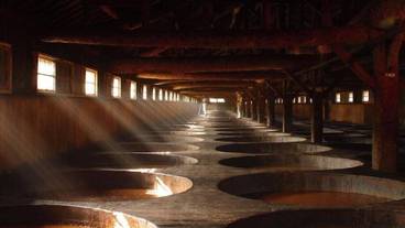 シティ ビュー / 39