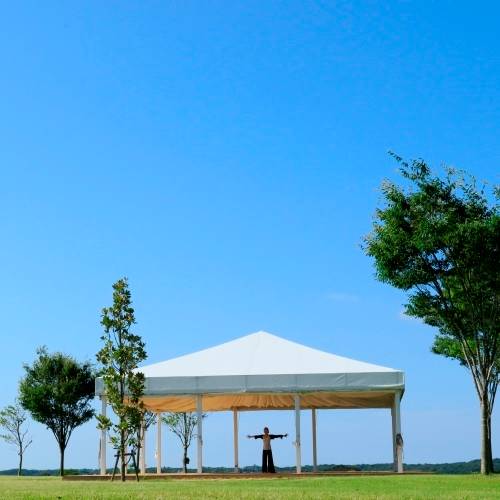 身体を目覚めさせる
朝のヨガプログラム / 2