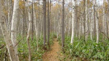 ランド ビュー / 9