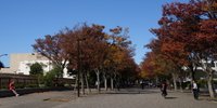 モノノフ必見！ももクロの聖地巡礼おすすめスポット【東京】