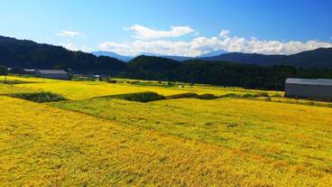 マウンテン ビュー / 23