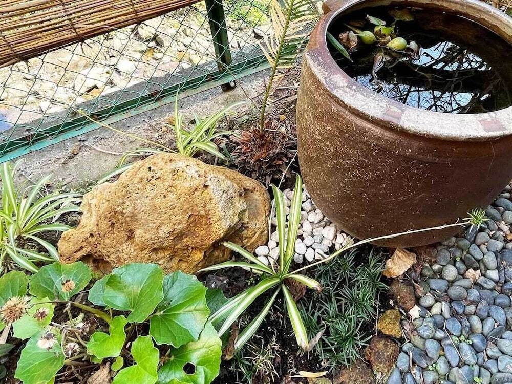 ガーデン ビュー