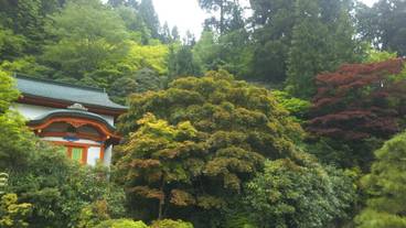 施設の敷地 / 16