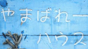 外観 / 8