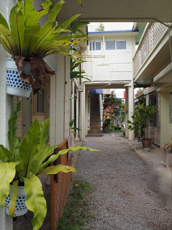 中庭