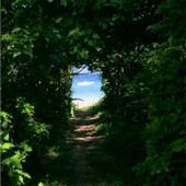 ワイヤーズホテル恩納 クリッパーオキナワベース（沖縄県 別荘・ヴィラ・コンドミニアム） / 3