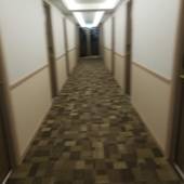 東横イン西船橋原木インター(千葉県 ビジネスホテル) / 2