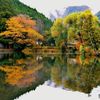 【2020年】はじめての湯布院に♪観光のポイントと王道観光スポットをご紹介