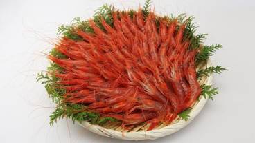 レストラン / 14