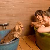 大江戸温泉物語 わんわんリゾート粟津（石川県 旅館） / 5