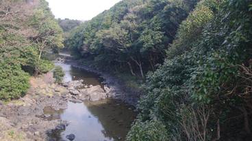 施設からの眺望 / 10