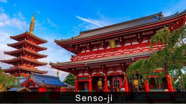 シティ ビュー / 18