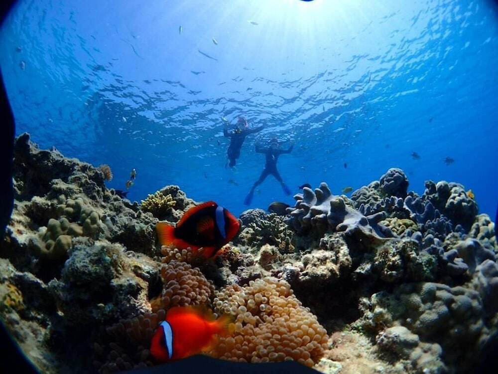 フィットネス設備