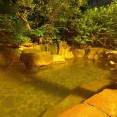 松之山温泉 和泉屋（新潟県）（新潟県 旅館） / 4