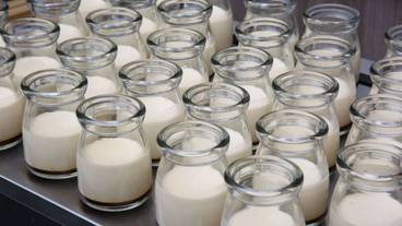 朝食ビュッフェ / 13