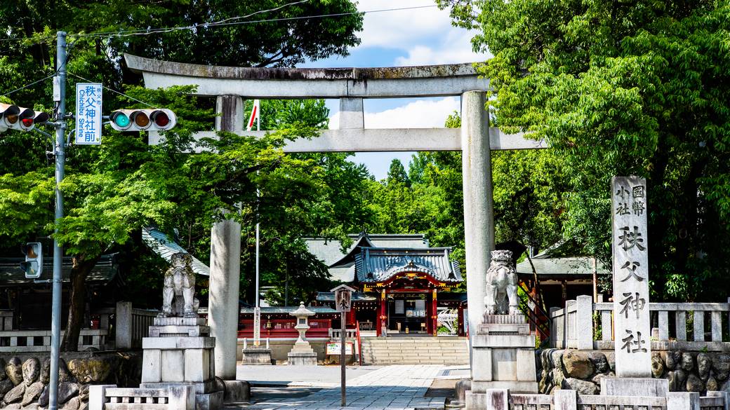 秩父神社鳥居 / 1