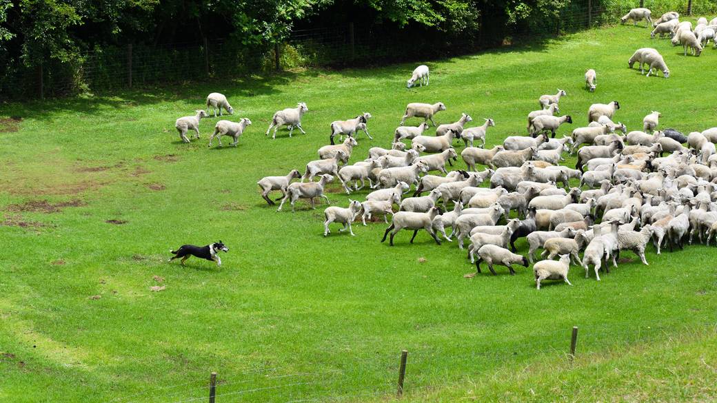 ドライブデートで
「マザー牧場」へ♡ / 5