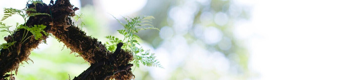 【浅草周辺】着物や浴衣で観光しよ♪カップルにおすすめの旅館6選