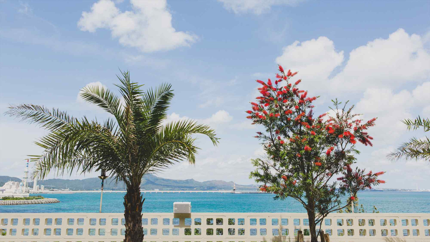 ガーデンからみえるオーシャンビュー