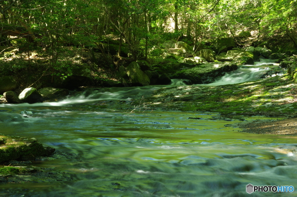敷地内にスパも!自然のなかで手ぶらBBQが楽しめるグランピング4084485