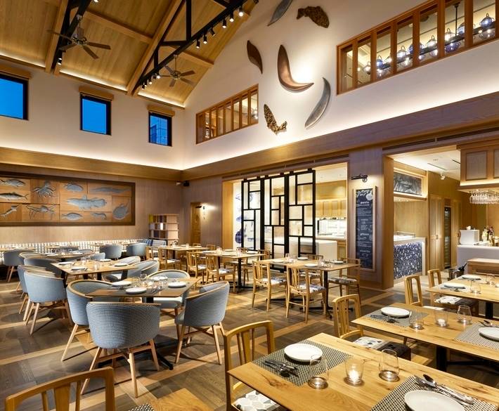 チェックイン前に
イタリアンランチ / 1