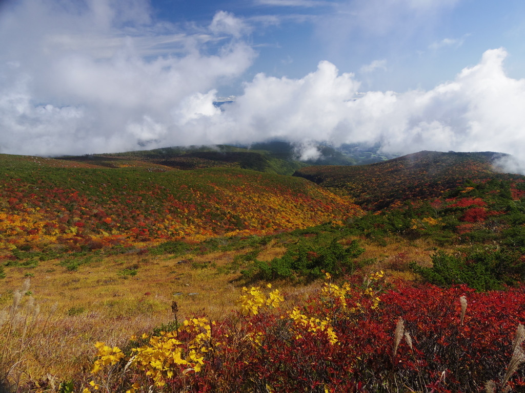 2.岳温泉(二本松市)3538634