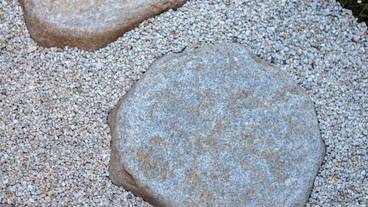 部屋からの景観 / 23