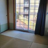 ゲストハウス黄色い家（沖縄県 ゲストハウス・ホステル・ドミトリー） / 5