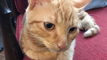 施設内の設備 / 5