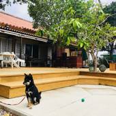 はりはりはうす（石垣島）（沖縄県 ペンション） / 5