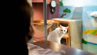 ファミリー ルーム