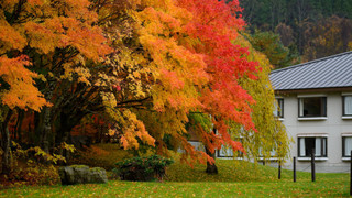 マウンテンサイドツインルーム 禁煙