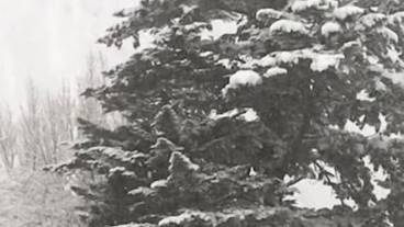 内装の詳細 / 29