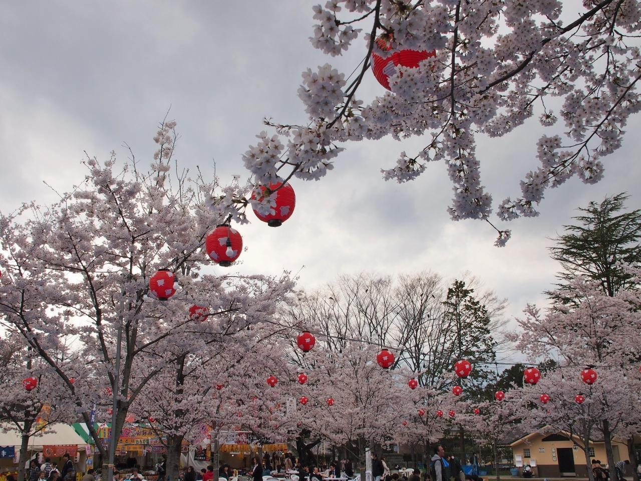 6.西公園1559245