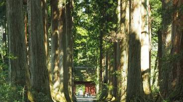 観光スポット / 12