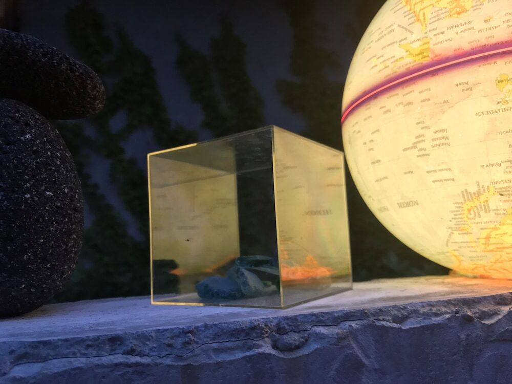 施設の正面 (日没後)