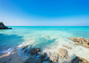 美しいビーチをゆったりおさんぽ3646013